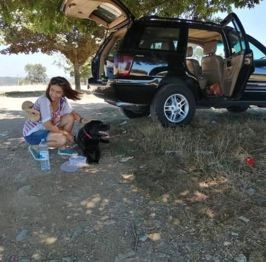 Quinta Da Lousa Guest House - Valongo - Porto Zewnętrze zdjęcie